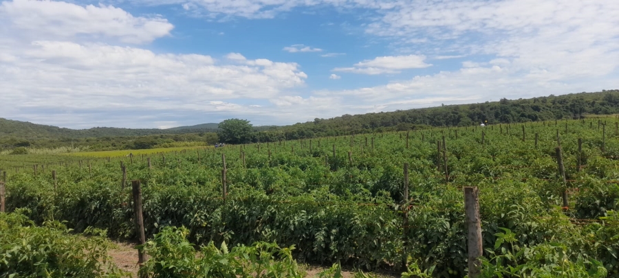Commercial Property for Sale in Komga Rural Eastern Cape